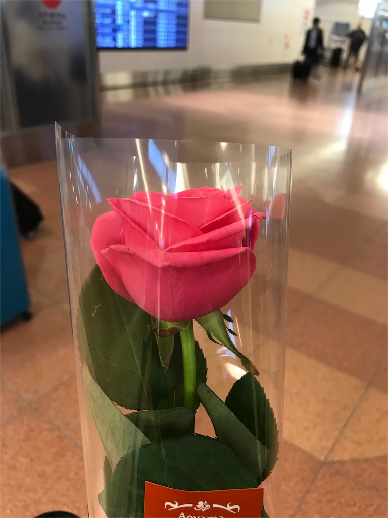 f:id:cdghnd:20190630152335j:image