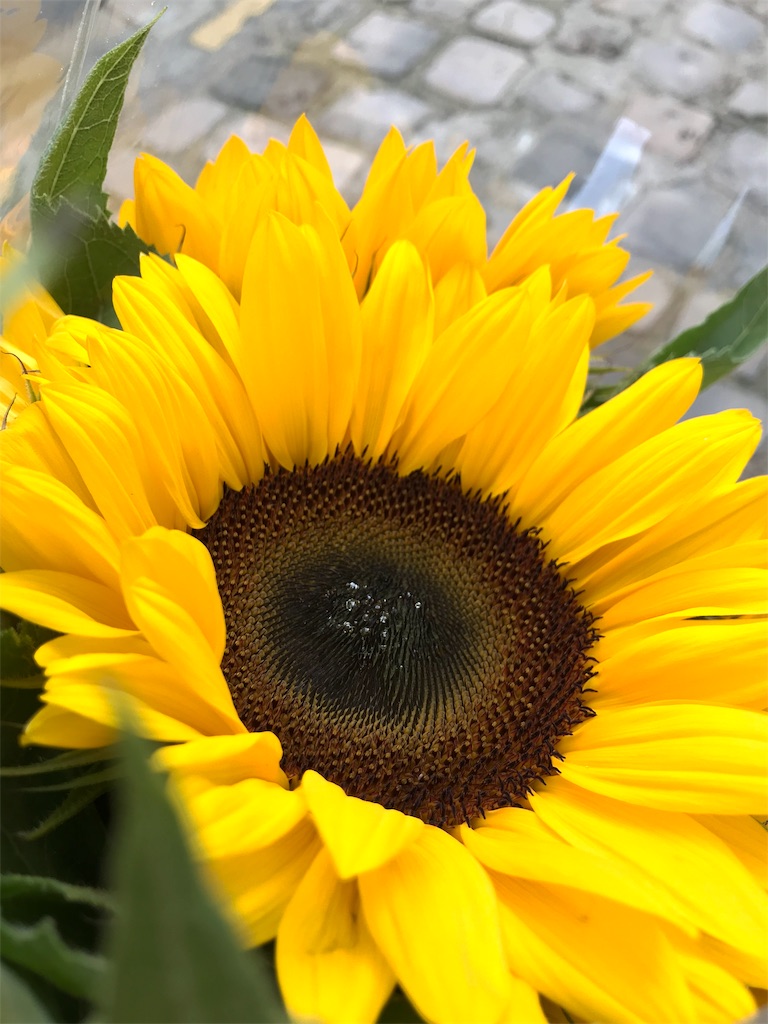 f:id:cdghnd:20190818204731j:plain