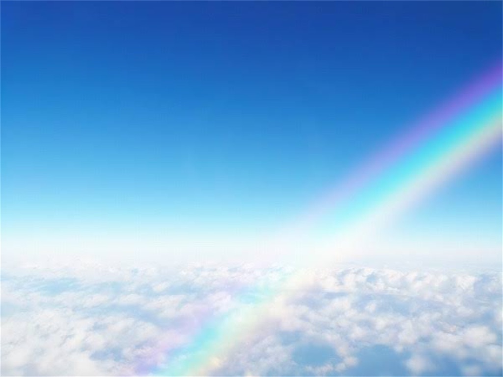 f:id:cdl03___19:20210316232808j:image f:id:cdl03___19:20210316232808j:image