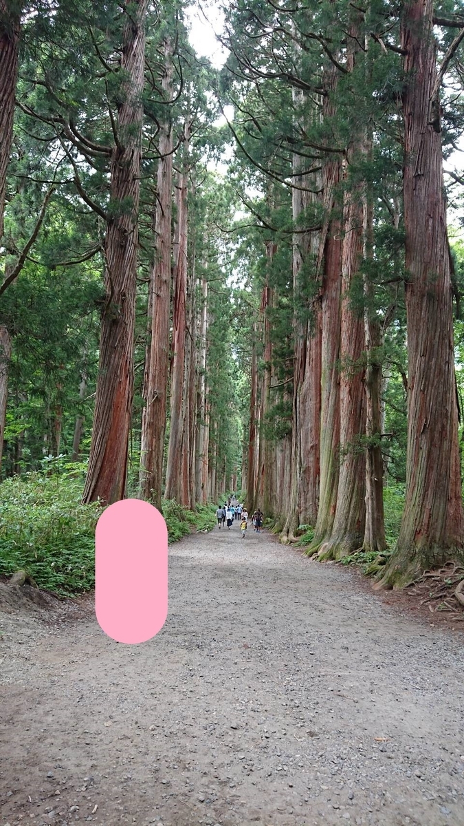 f:id:cdokin:20191108084752j:plain