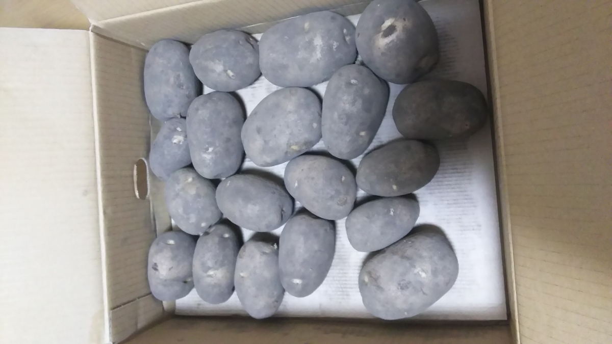 f:id:cdokin:20191110134042j:plain