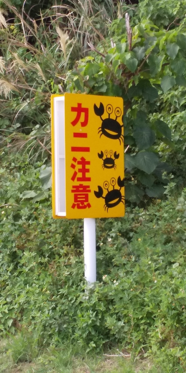 f:id:cdokin:20201119155426j:plain