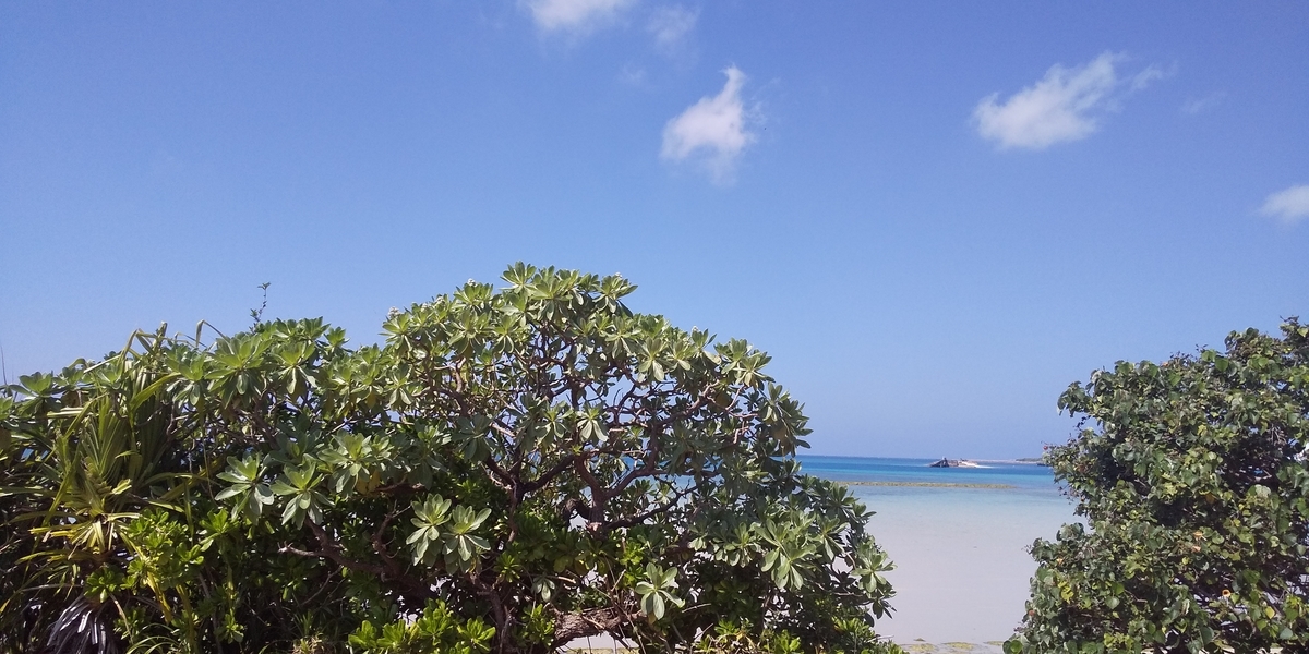 f:id:cdokin:20220301143155j:plain