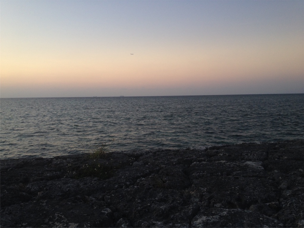 f:id:cdya:20191114165348j:image