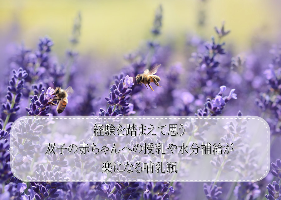 f:id:ce-ciel:20200319204633p:plain f:id:ce-ciel:20200319204633p:plain