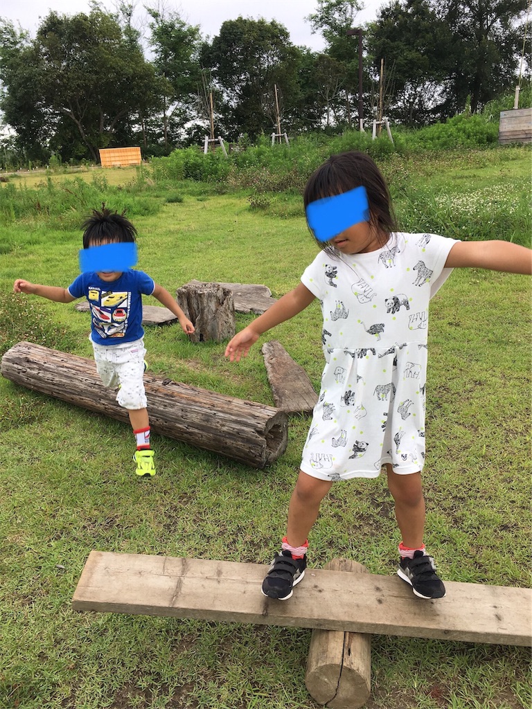 f:id:ce_araguma:20190812224756j:image