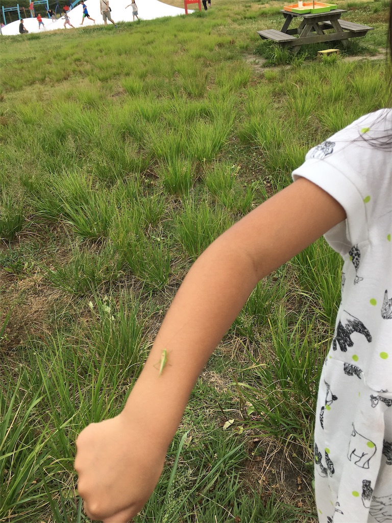f:id:ce_araguma:20190812225310j:image