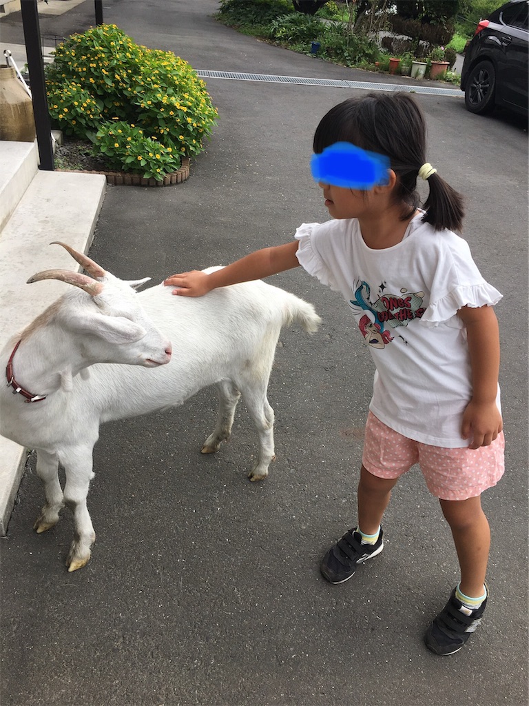 f:id:ce_araguma:20190822124506j:image