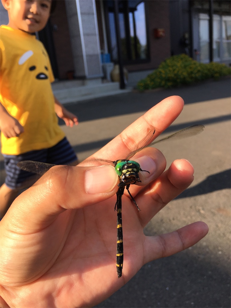 f:id:ce_araguma:20190822130317j:image