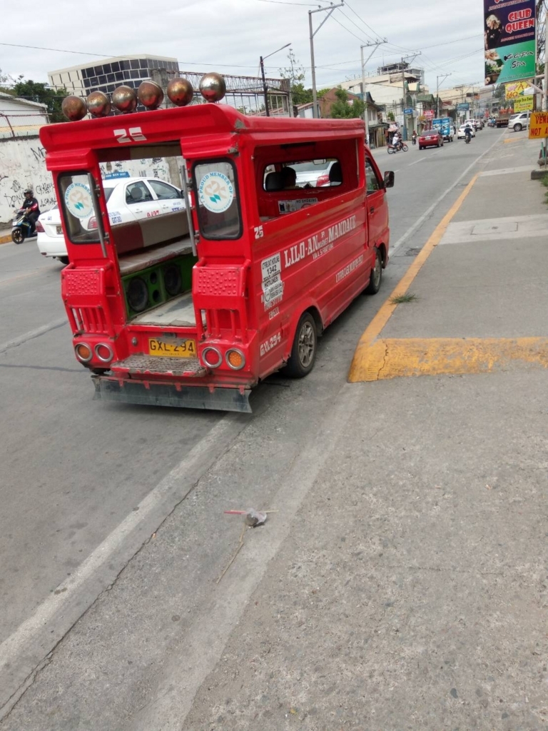 f:id:cebu-cmore:20180407221019j:plain f:id:cebu-cmore:20180407221019j:plain
