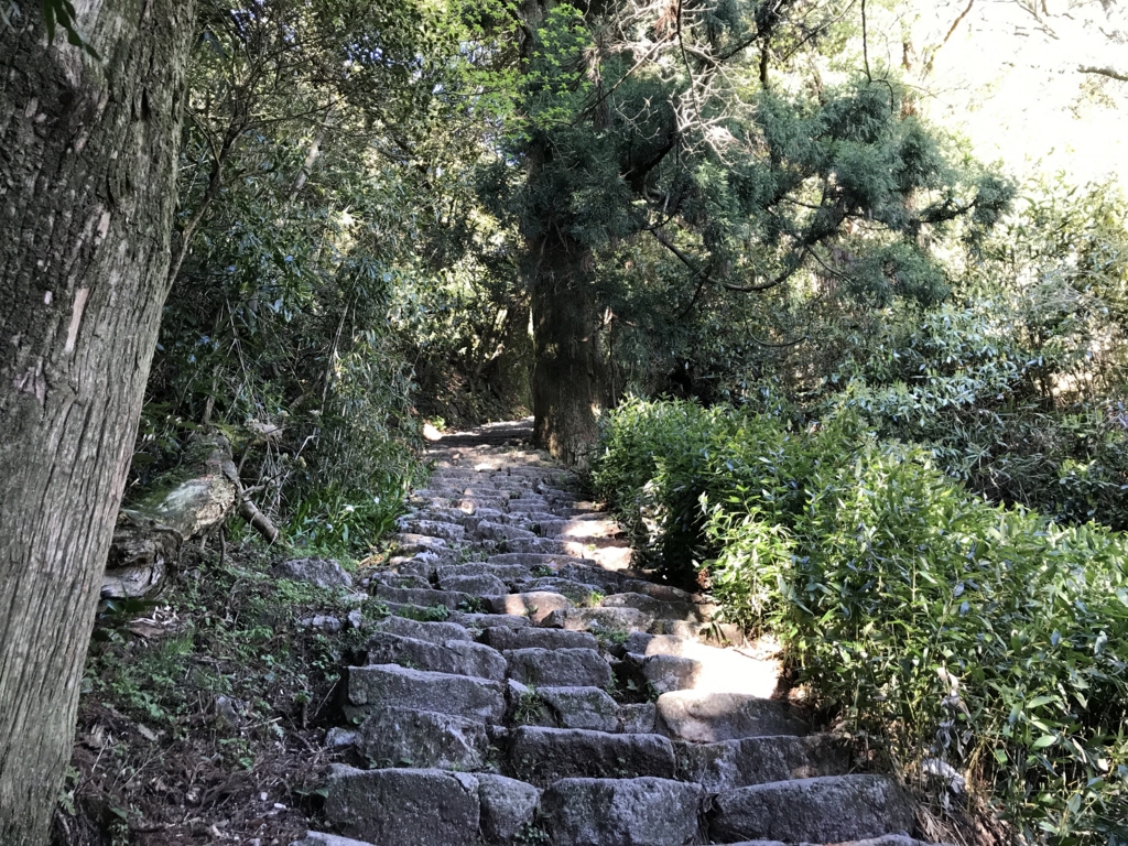 f:id:cedar1218:20170429105529j:plain