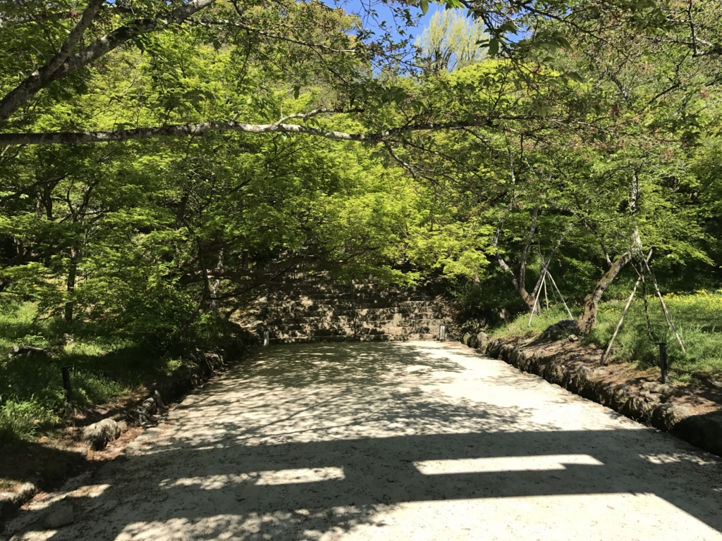 f:id:cedar1218:20170430225256j:plain