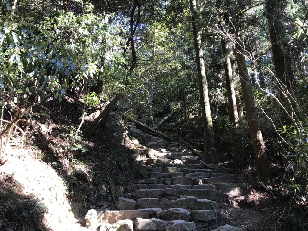 f:id:cedar1218:20170430225834j:plain