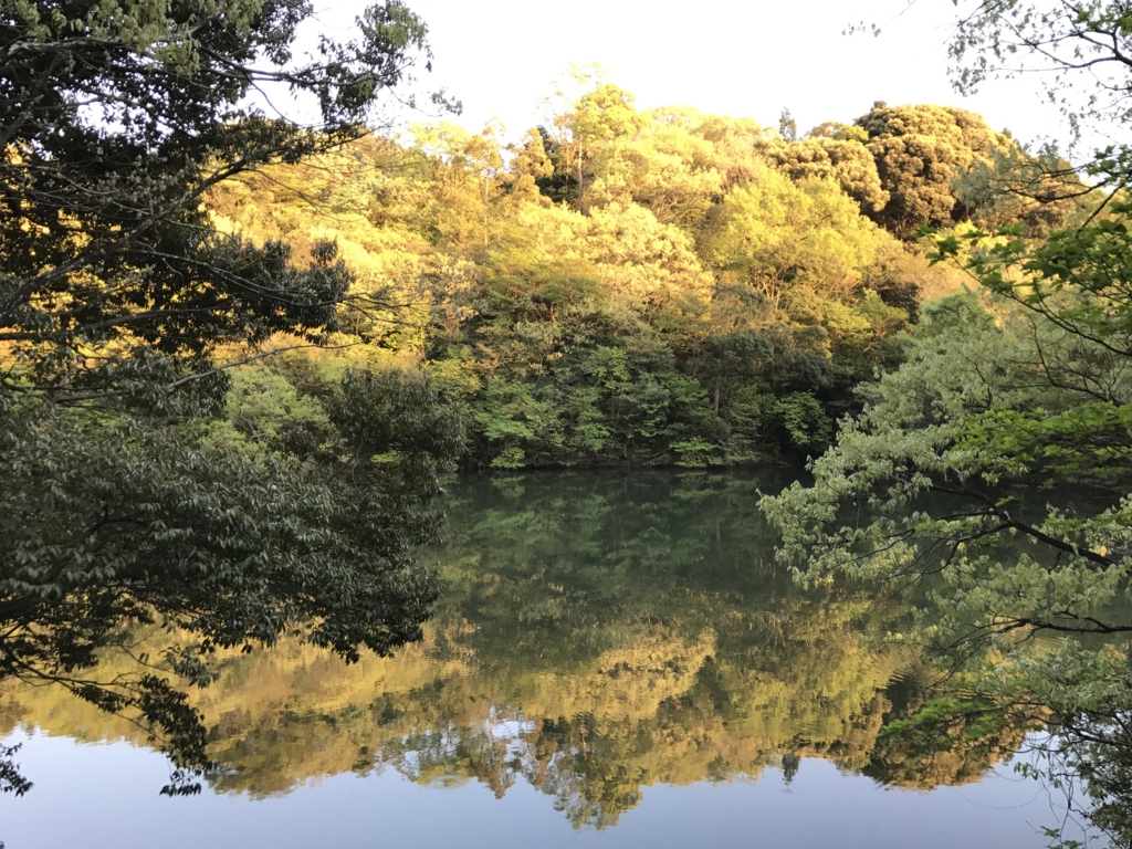 f:id:cedar1218:20170430231417j:plain