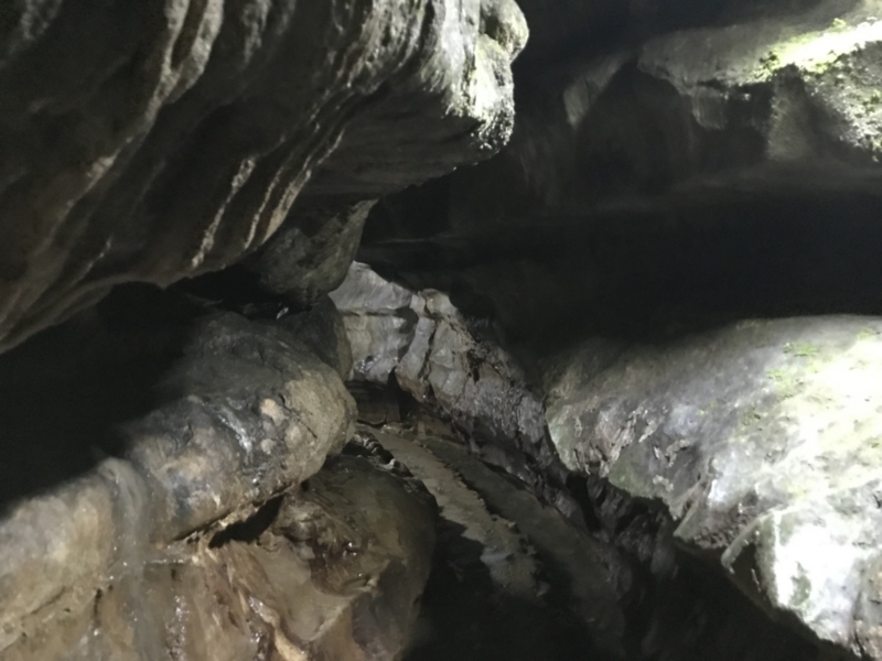 f:id:cedar1218:20171021233140j:plain