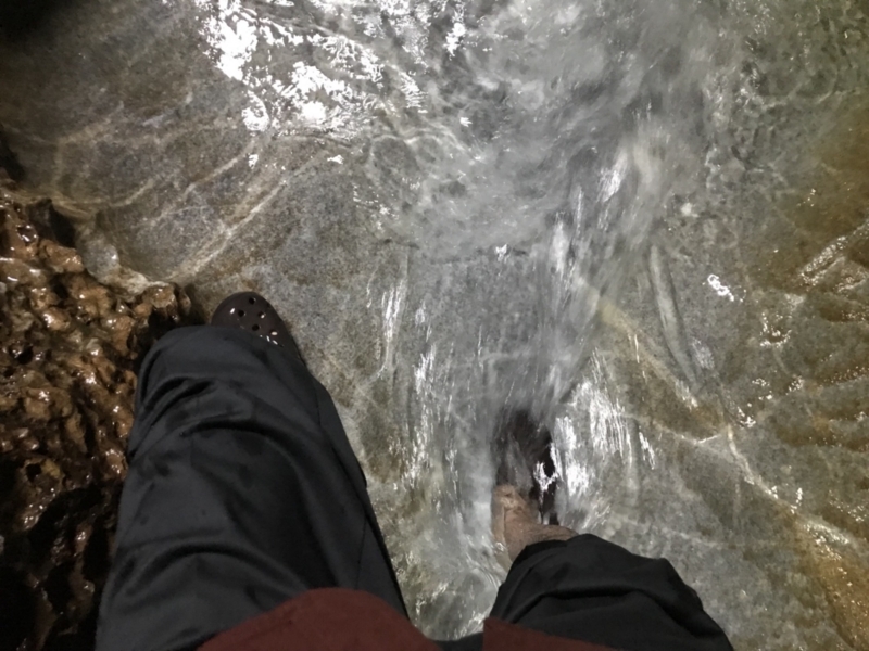 f:id:cedar1218:20171021233141j:plain