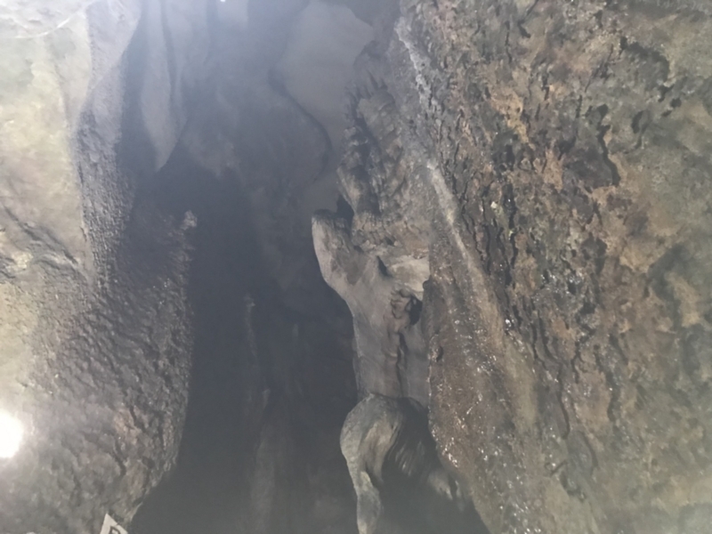 f:id:cedar1218:20171021233142j:plain