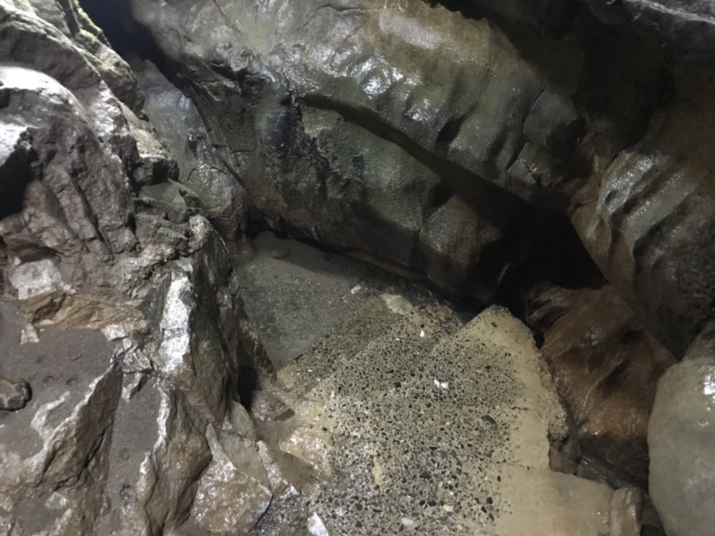 f:id:cedar1218:20171021233145j:plain