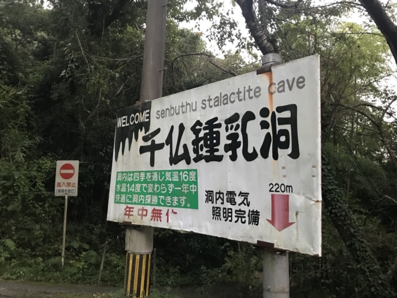 f:id:cedar1218:20171021233151j:plain