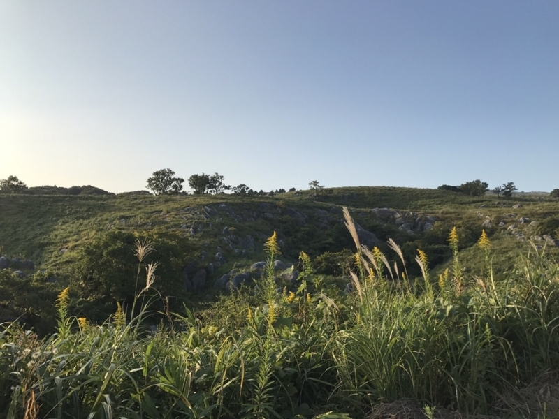 f:id:cedar1218:20171021233153j:plain