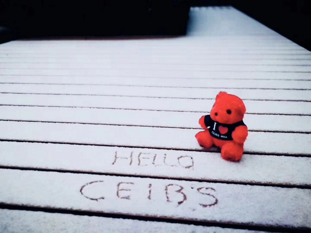 f:id:ceibs2018:20180201132913j:plain