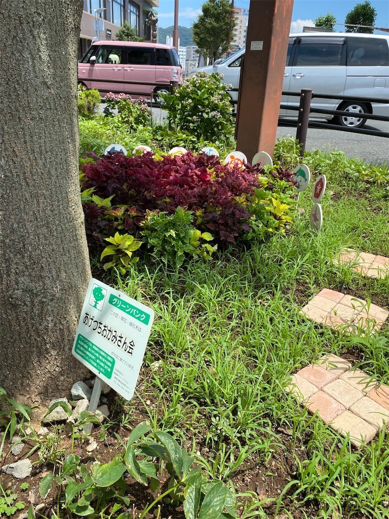 f:id:celeron1ghz:20210710230556j:plain