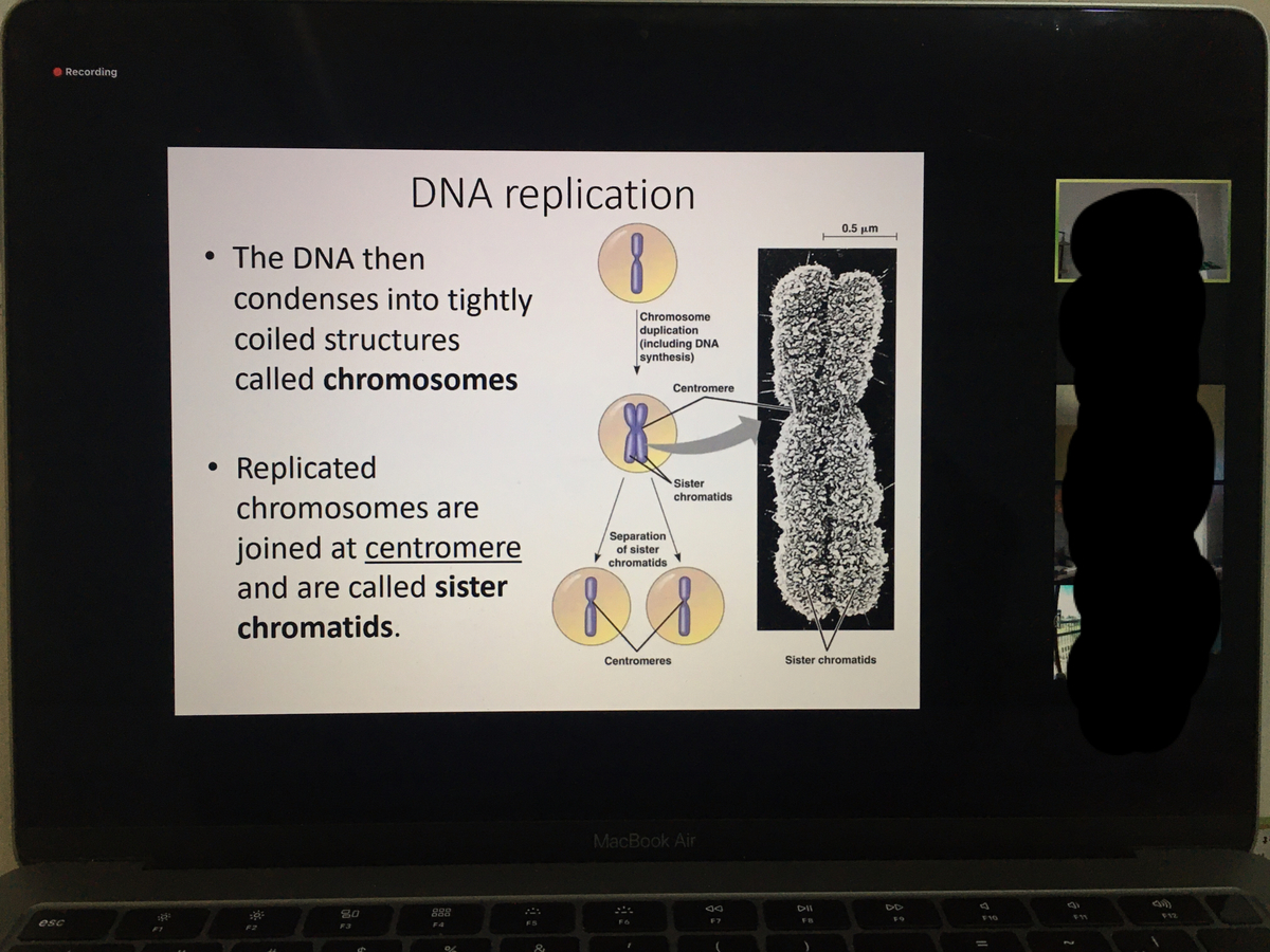 f:id:cellmembrane:20200721203122j:plain f:id:cellmembrane:20200721203122j:plain