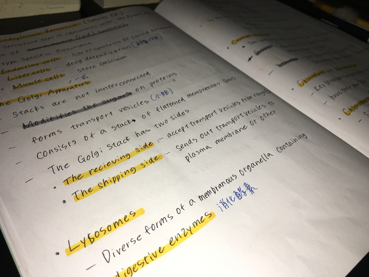 f:id:cellmembrane:20200721204007j:plain f:id:cellmembrane:20200721204007j:plain
