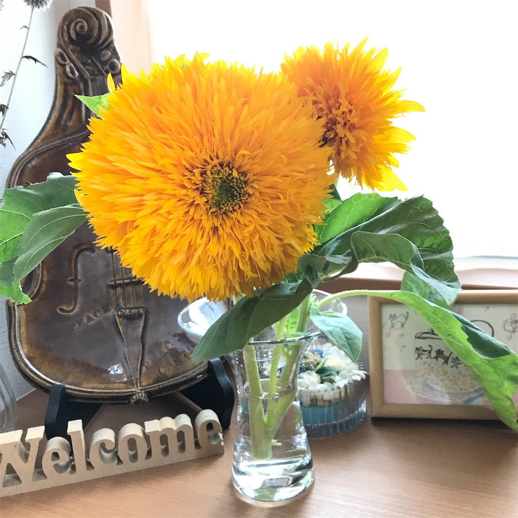 f:id:cello_poire:20200804223556j:image f:id:cello_poire:20200804223556j:image