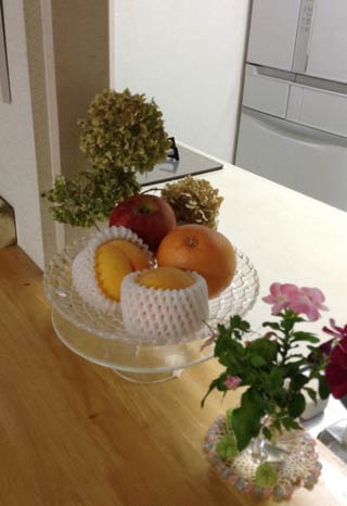 f:id:cellolife:20181108095835j:plain