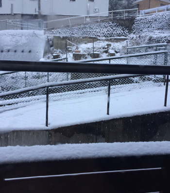 f:id:cellolife:20181209151545j:plain