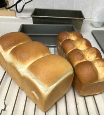 f:id:cellolife:20190818103434j:plain f:id:cellolife:20190818103434j:plain