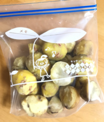 f:id:cellolife:20191004144809j:plain f:id:cellolife:20191004144809j:plain