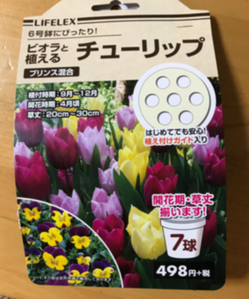 f:id:cellolife:20191029234437j:plain f:id:cellolife:20191029234437j:plain