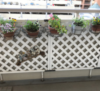 f:id:cellolife:20191029234451j:plain f:id:cellolife:20191029234451j:plain