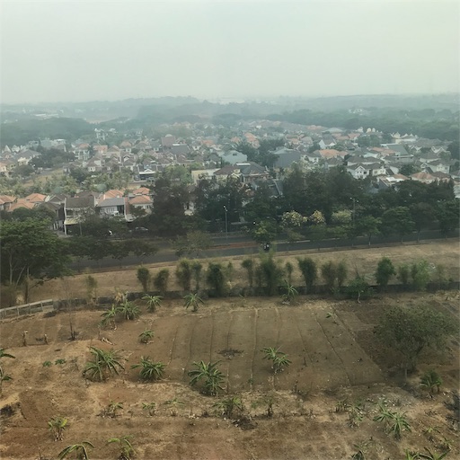 f:id:cellolife:20191101090558j:plain