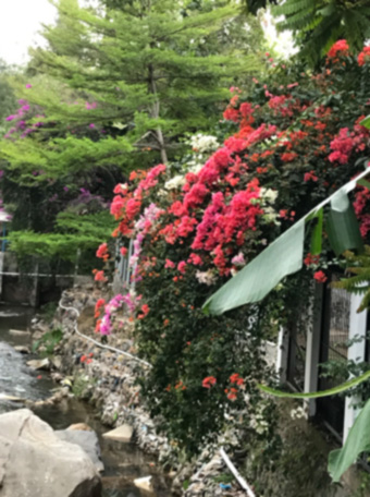 f:id:cellolife:20191201215153j:plain f:id:cellolife:20191201215153j:plain