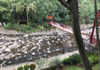 f:id:cellolife:20191201215231j:plain f:id:cellolife:20191201215231j:plain