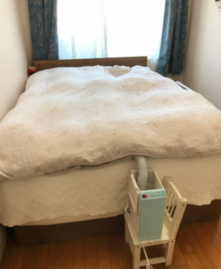 f:id:cellolife:20200218211845j:plain