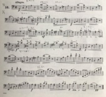 f:id:cellolife:20200517085314j:plain f:id:cellolife:20200517085314j:plain