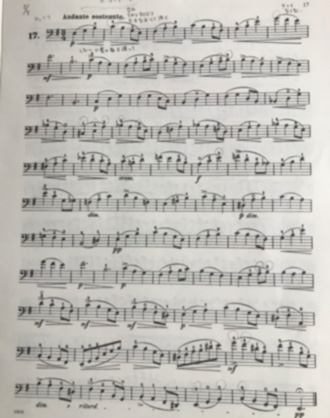 f:id:cellolife:20200517085916j:plain f:id:cellolife:20200517085916j:plain