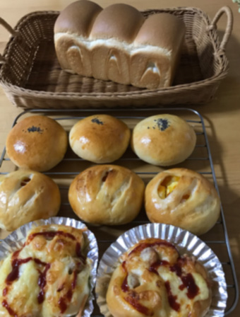 f:id:cellolife:20200829204145j:plain f:id:cellolife:20200829204145j:plain