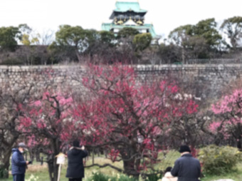 f:id:cellolife:20210220231431j:plain