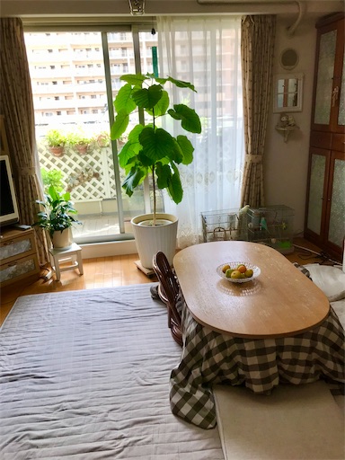 f:id:cellolife:20211024090354j:image