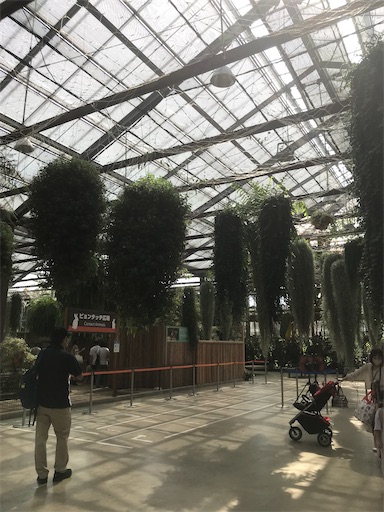 f:id:cellolife:20211024205658j:image