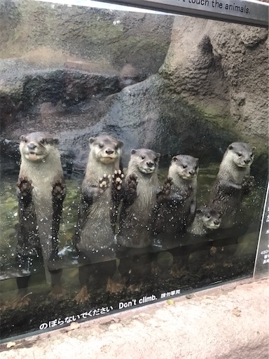 f:id:cellolife:20211024205921j:image