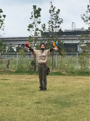 f:id:cellolife:20211024210024j:image