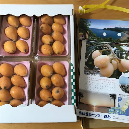 f:id:cellolife:20220602200348j:image