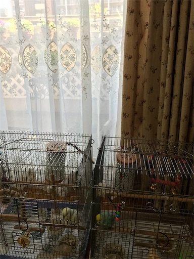 f:id:cellolife:20221031095318j:image f:id:cellolife:20221031095318j:image