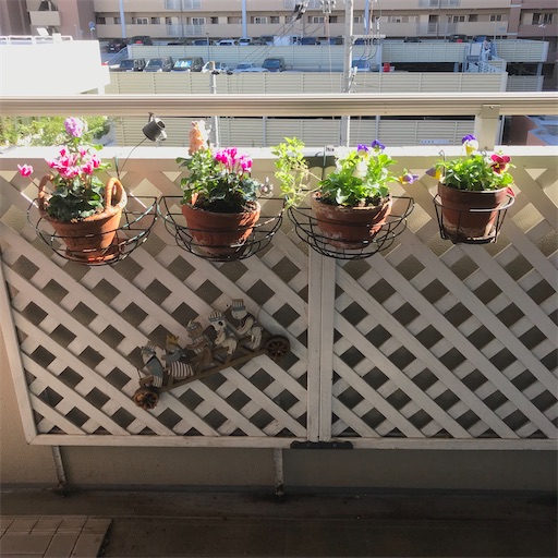 f:id:cellolife:20221031203237j:image f:id:cellolife:20221031203237j:image